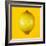 Lemon-Mark Sykes-Framed Premium Photographic Print