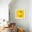 Lemon-Mark Sykes-Framed Premium Photographic Print displayed on a wall