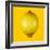 Lemon-Mark Sykes-Framed Premium Photographic Print