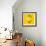 Lemon-Mark Sykes-Framed Premium Photographic Print displayed on a wall