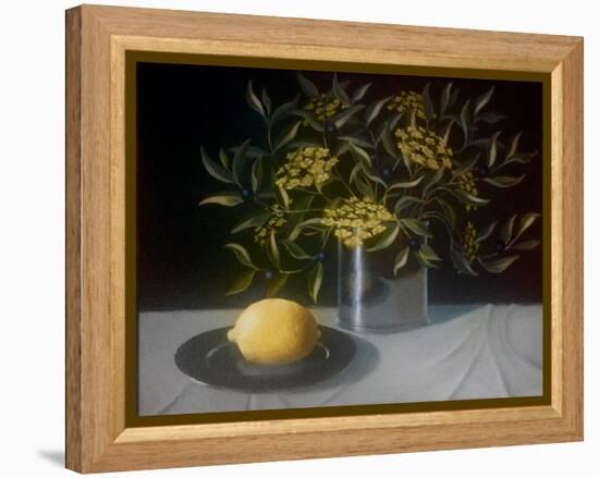 Lemon-ELEANOR FEIN-Framed Premier Image Canvas