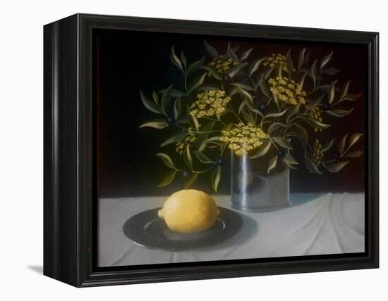 Lemon-ELEANOR FEIN-Framed Premier Image Canvas