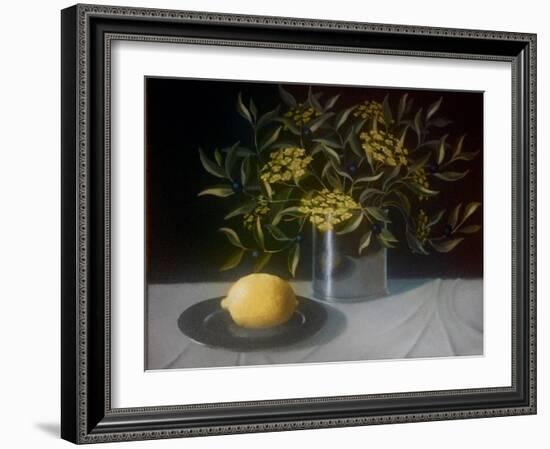 Lemon-ELEANOR FEIN-Framed Giclee Print