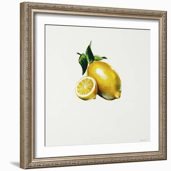 Lemon-Sydney Edmunds-Framed Giclee Print