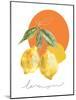 Lemon-Carol Robinson-Mounted Art Print