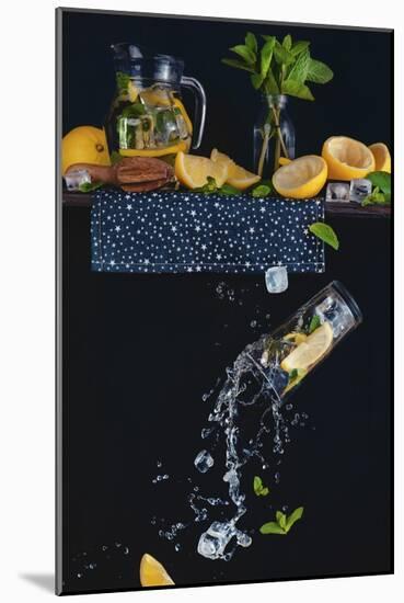 Lemonade From The Top Shelf-Dina Belenko-Mounted Giclee Print