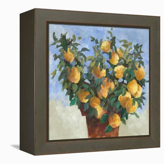 Lemonade-Jacob Q-Framed Stretched Canvas