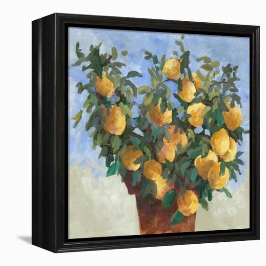 Lemonade-Jacob Q-Framed Stretched Canvas