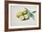 Lemons, 1840-Pierre-Joseph Redouté-Framed Giclee Print