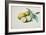 Lemons, 1840-Pierre-Joseph Redouté-Framed Giclee Print