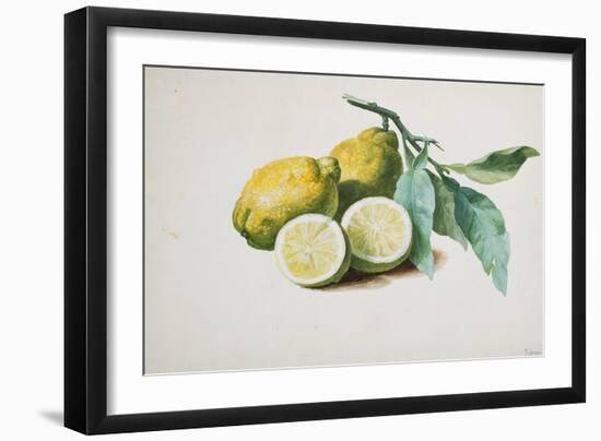 Lemons, 1840-Pierre-Joseph Redouté-Framed Giclee Print