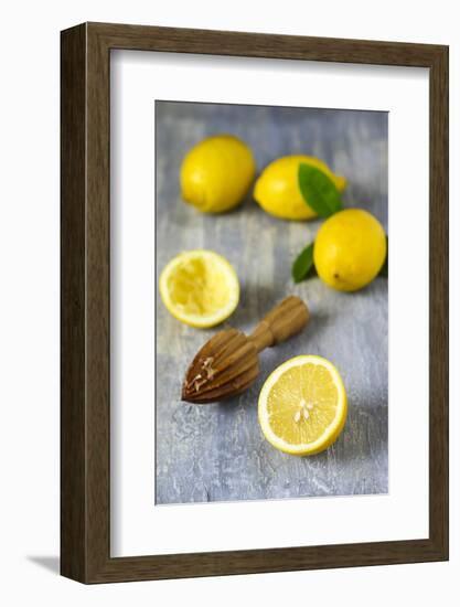 Lemons and Lemon Squeezer-Jana Ihle-Framed Photographic Print