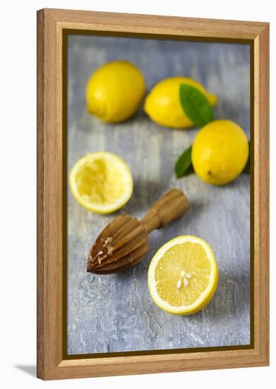 Lemons and Lemon Squeezer-Jana Ihle-Framed Premier Image Canvas