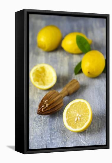 Lemons and Lemon Squeezer-Jana Ihle-Framed Premier Image Canvas