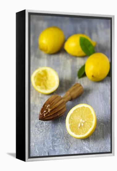 Lemons and Lemon Squeezer-Jana Ihle-Framed Premier Image Canvas