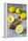 Lemons and Lemon Squeezer-Jana Ihle-Framed Premier Image Canvas