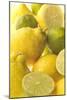 Lemons and Limes Close-Up-null-Mounted Photographic Print