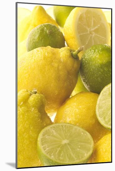 Lemons and Limes Close-Up-null-Mounted Photographic Print