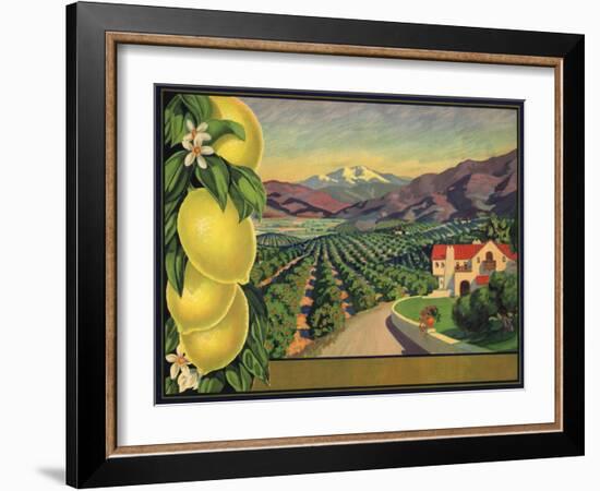 Lemons and Orchard - Citrus Crate Label-Lantern Press-Framed Art Print