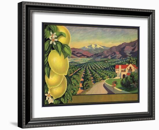 Lemons and Orchard - Citrus Crate Label-Lantern Press-Framed Art Print