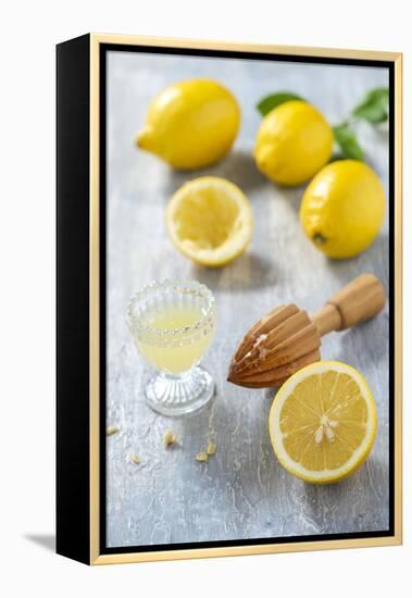 Lemons, Citrus-Press and Juice-Jana Ihle-Framed Premier Image Canvas