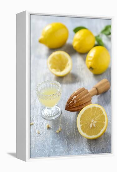 Lemons, Citrus-Press and Juice-Jana Ihle-Framed Premier Image Canvas