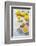 Lemons, Citrus-Press and Juice-Jana Ihle-Framed Photographic Print