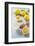 Lemons, Citrus-Press and Juice-Jana Ihle-Framed Photographic Print