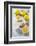 Lemons, Citrus-Press and Juice-Jana Ihle-Framed Photographic Print