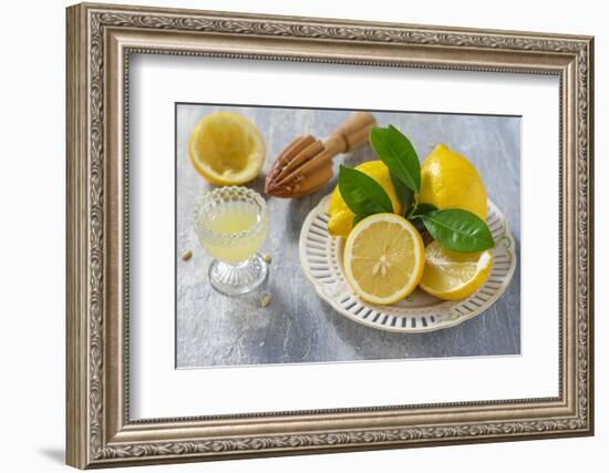 Lemons, Citrus-Press and Juice-Jana Ihle-Framed Photographic Print