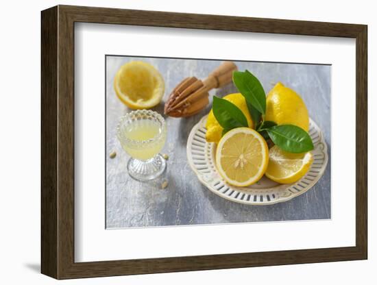 Lemons, Citrus-Press and Juice-Jana Ihle-Framed Photographic Print