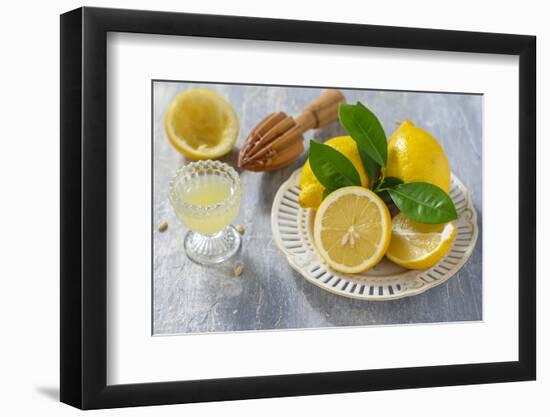 Lemons, Citrus-Press and Juice-Jana Ihle-Framed Photographic Print