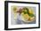 Lemons, Citrus-Press and Juice-Jana Ihle-Framed Photographic Print