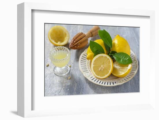 Lemons, Citrus-Press and Juice-Jana Ihle-Framed Photographic Print