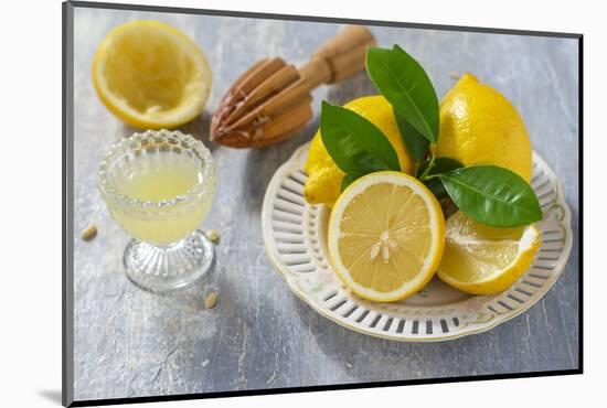 Lemons, Citrus-Press and Juice-Jana Ihle-Mounted Photographic Print