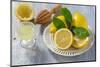 Lemons, Citrus-Press and Juice-Jana Ihle-Mounted Photographic Print