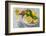 Lemons, Citrus-Press and Juice-Jana Ihle-Framed Photographic Print