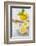 Lemons, Citrus-Press and Juice-Jana Ihle-Framed Photographic Print