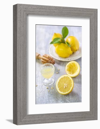 Lemons, Citrus-Press and Juice-Jana Ihle-Framed Photographic Print