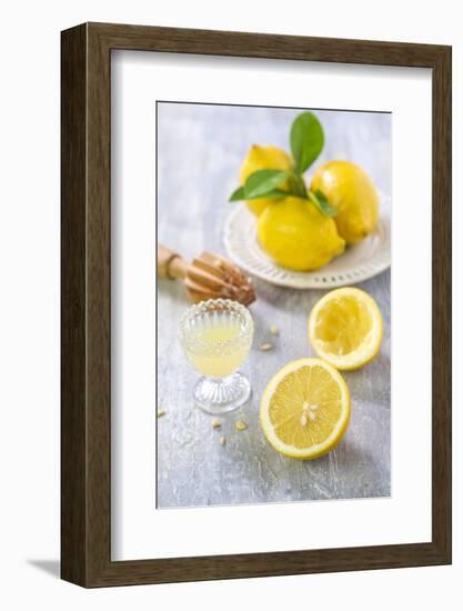 Lemons, Citrus-Press and Juice-Jana Ihle-Framed Photographic Print