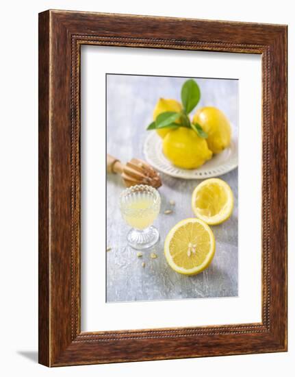 Lemons, Citrus-Press and Juice-Jana Ihle-Framed Photographic Print