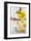 Lemons, Citrus-Press and Juice-Jana Ihle-Framed Photographic Print