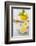 Lemons, Citrus-Press and Juice-Jana Ihle-Framed Photographic Print