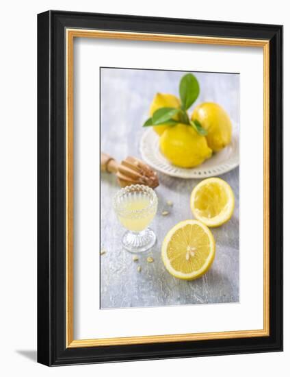 Lemons, Citrus-Press and Juice-Jana Ihle-Framed Photographic Print