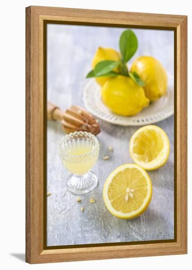 Lemons, Citrus-Press and Juice-Jana Ihle-Framed Premier Image Canvas