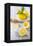 Lemons, Citrus-Press and Juice-Jana Ihle-Framed Premier Image Canvas