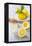 Lemons, Citrus-Press and Juice-Jana Ihle-Framed Premier Image Canvas