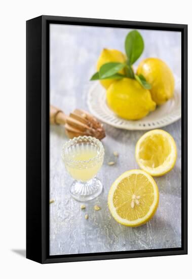 Lemons, Citrus-Press and Juice-Jana Ihle-Framed Premier Image Canvas