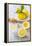 Lemons, Citrus-Press and Juice-Jana Ihle-Framed Premier Image Canvas