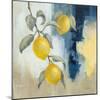 Lemons From the South I-Silvia Vassileva-Mounted Art Print